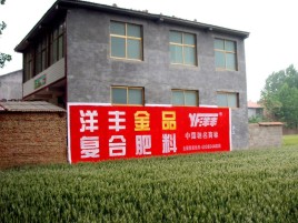  靖江如何让墙体广告展现最大化效果
