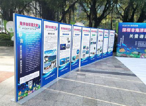  靖江KT板的种类和知识。